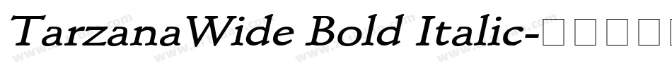 TarzanaWide Bold Italic字体转换